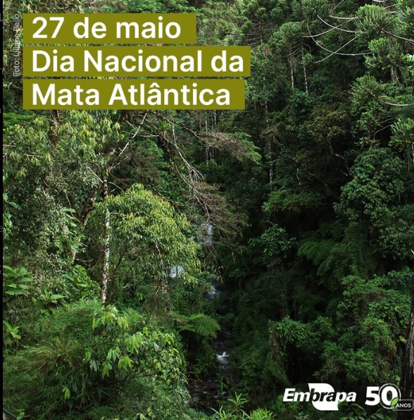 Restaura Mata Atlântica e EMBRAPA